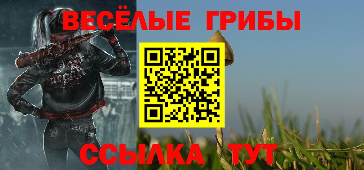 Галлюциногенные грибы GOLDEN TEACHER Нижний Новгород